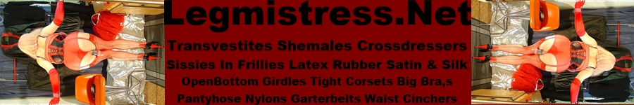 Shemales And Transvestites