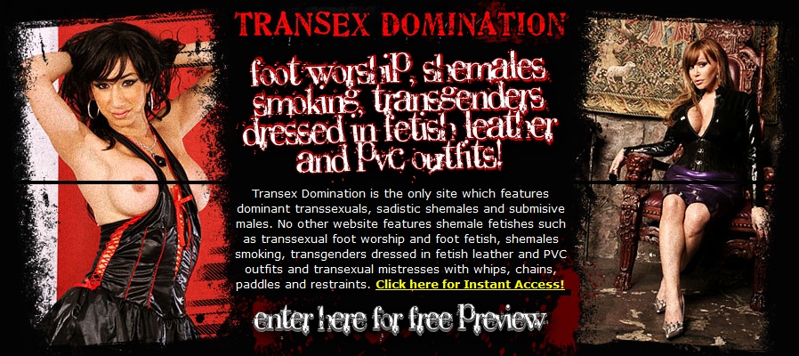 TranSexDomination Transvestite
                                    & Shemale