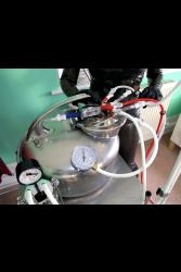 Lingerie Clad Amateur And Professional ladies