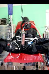 Lingerie Clad Amateur And Professional ladies