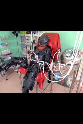 Lingerie Clad Amateur And Professional ladies