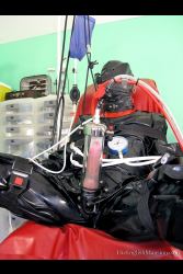 Lingerie Clad Amateur And Professional ladies