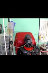 Lingerie Clad Amateur And Professional ladies