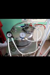 Lingerie Clad Amateur And Professional ladies