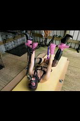 Lingerie Clad Amateur And Professional ladies